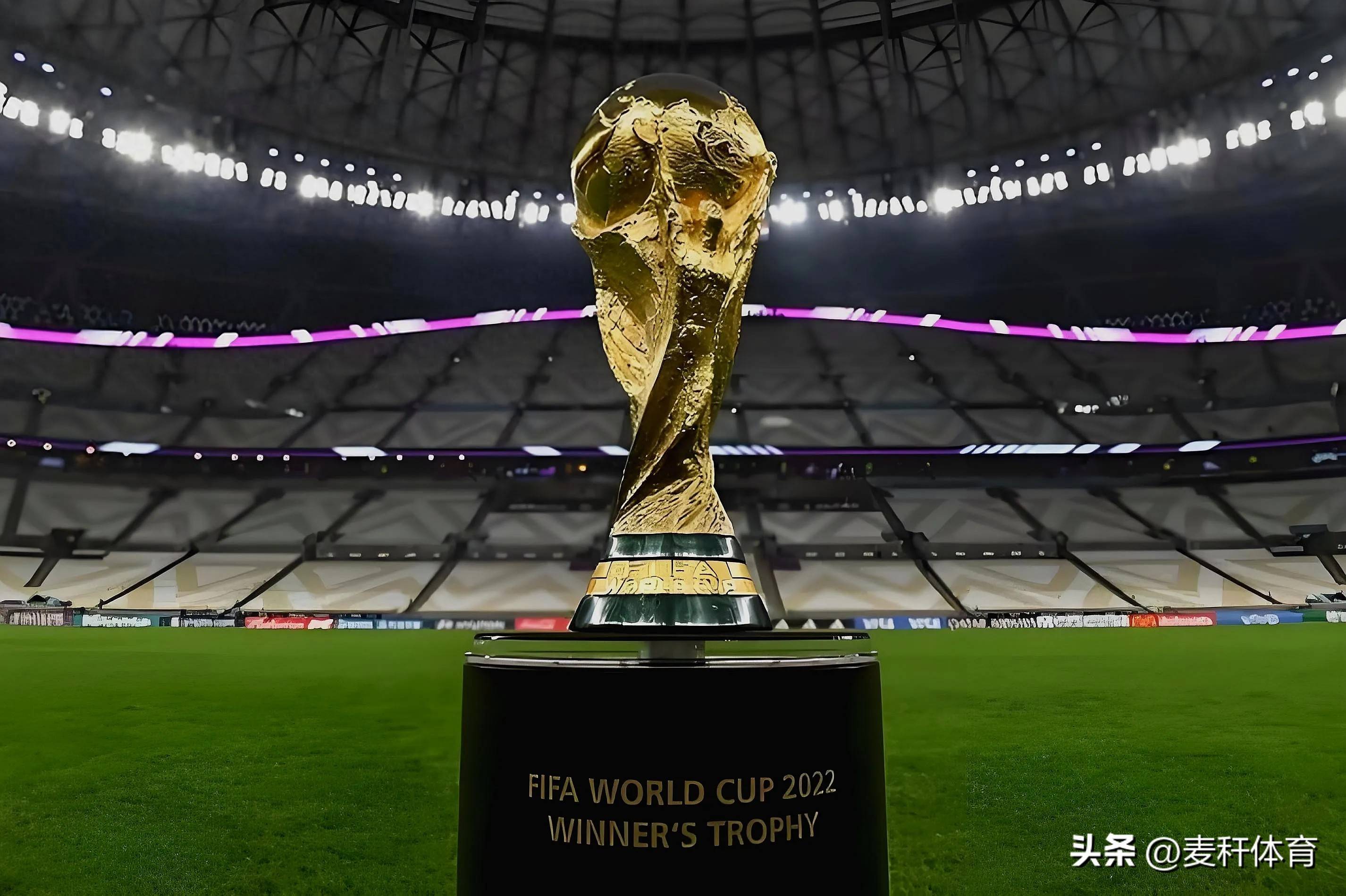 大谷翔平在 2024 年加盟道奇的首个商业广告，使其成为全球最高收入的棒球选手